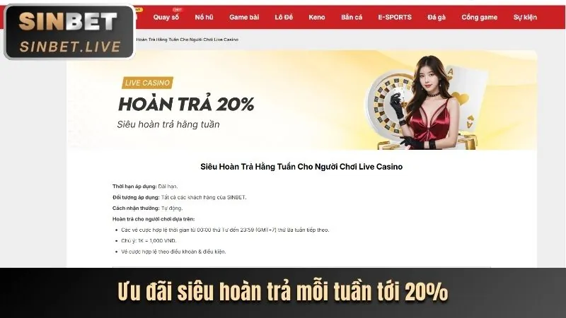 Chi tiết bảo trì hệ thống vip vn123